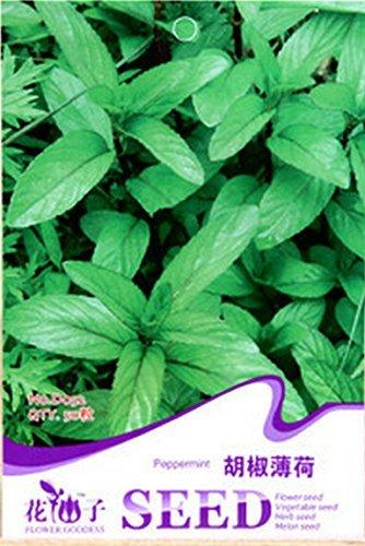 Semi Di Menta Piperita 0,1g | Erba Aromatica Da Balcone O Giardino | Facile Coltivazione | Cucina, Tè, Rimedi Naturali - Foto 10