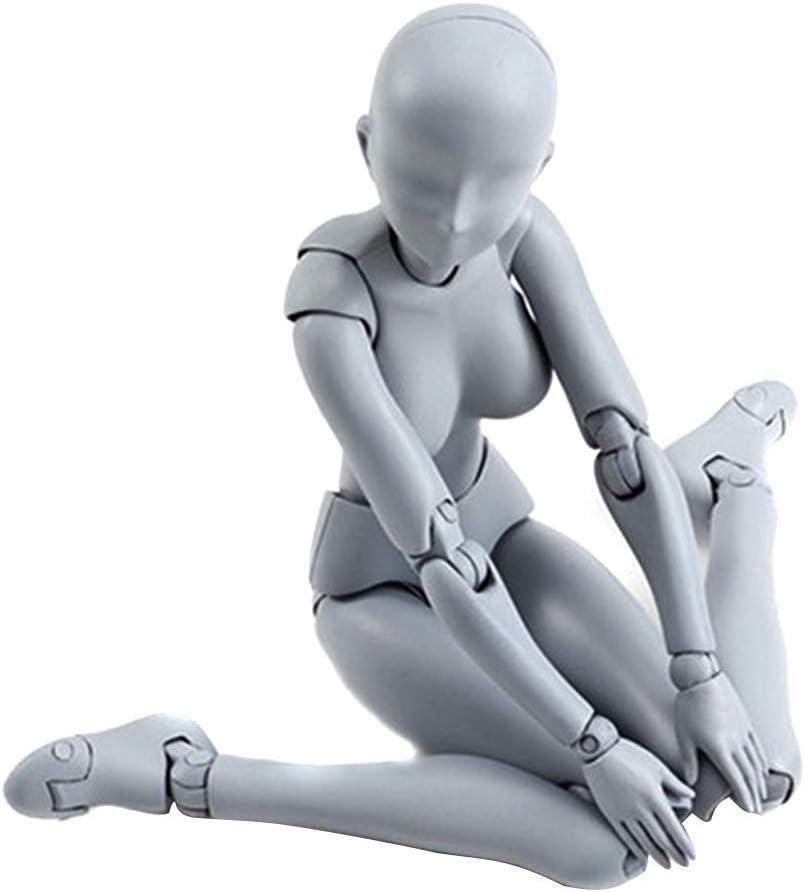 Body-Chan Model Mannequin Body Kun Doll Male & Female PVC Action Figure  Model with Accessories Kit for Sketching, Painting, Drawing, Artist (Gray)  - Buy Online - 96342323