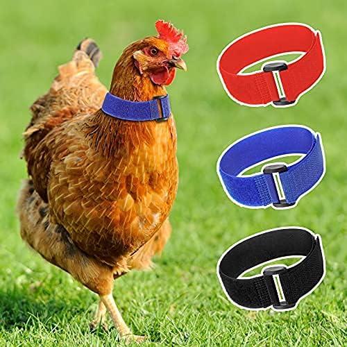 6 Pieces Anti Crow Rooster Collar Anti Noise Nylon Neck Belt Chicken