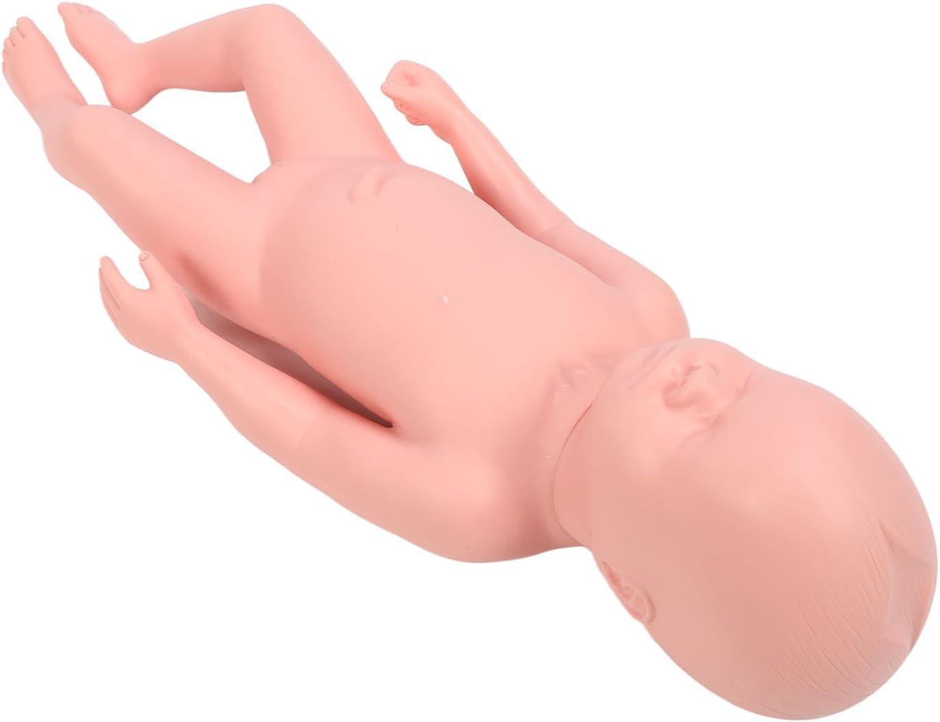 High Simulation Plastic Baby Doll for Teaching withFeatures Easy to Clean  Suitable for Colleges and Clinical Training
