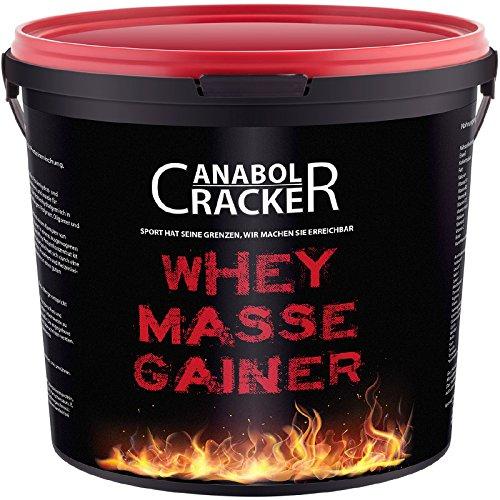 MASS KONG 3000g Whey Mass Gainer Maß Proteinpulver Aminosäuren
