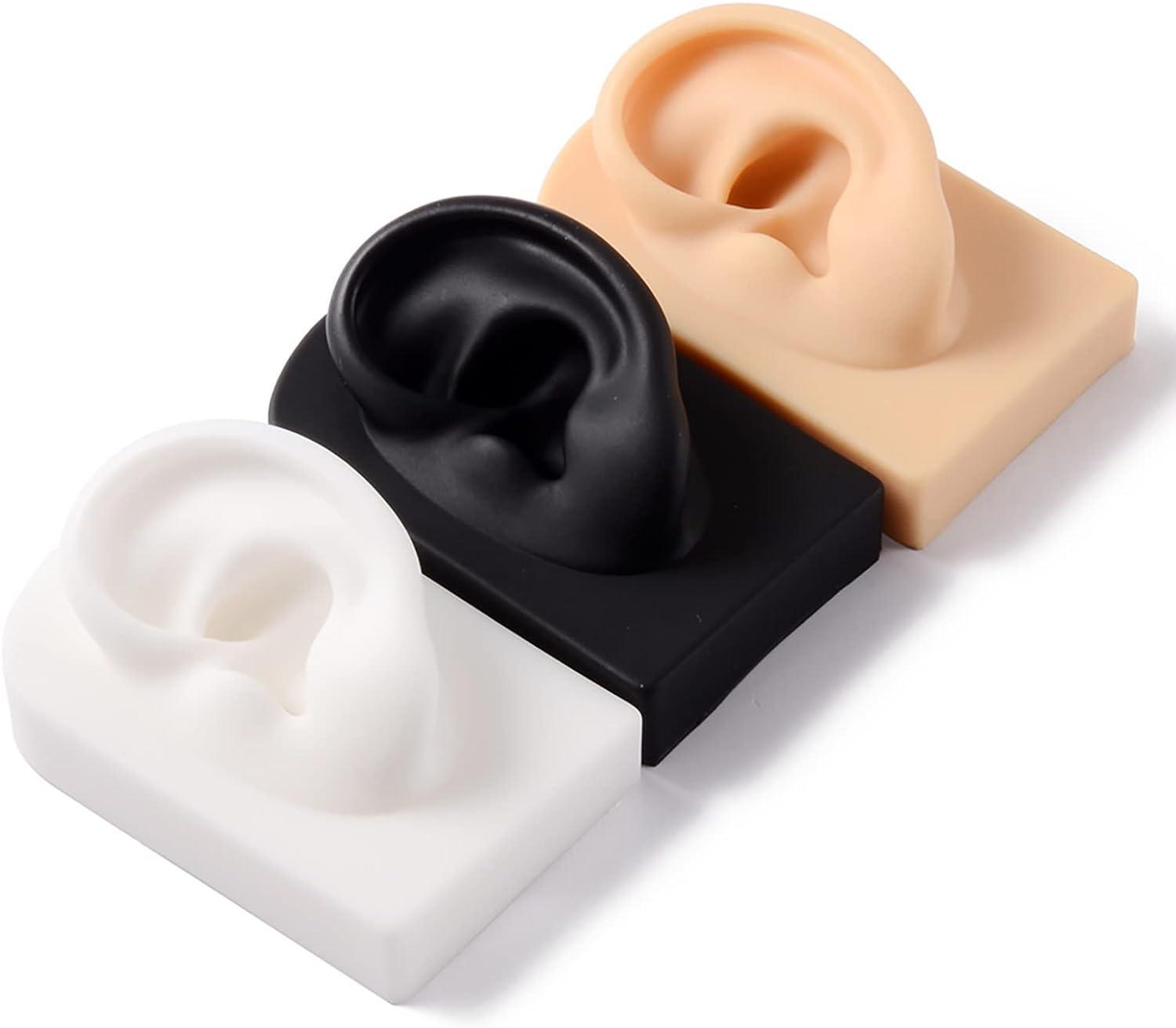 Silicone Acupuncture Ear Model Set for Science Class Reusable