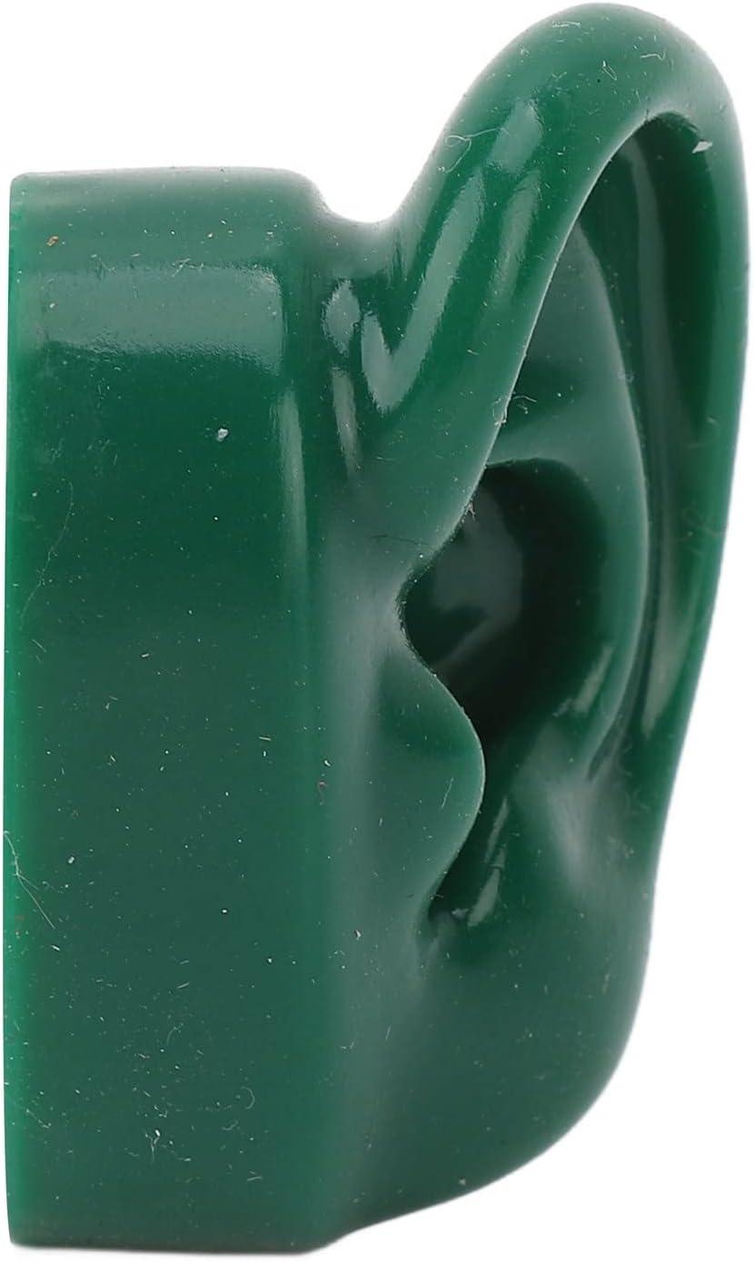 Silicone Ear Model Soft Simulated Pair Human Ear Model Display Soft