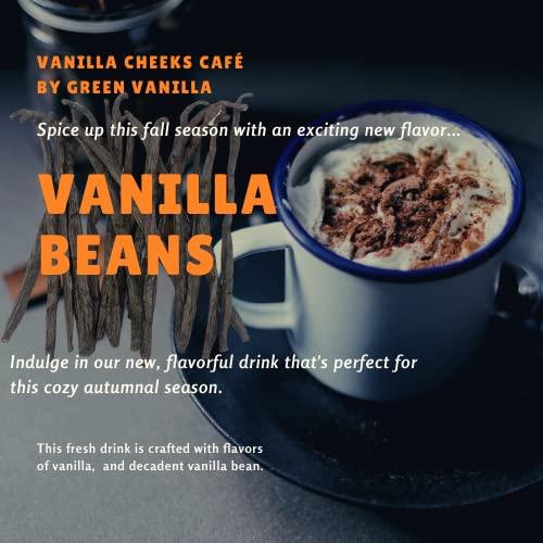 10 Madagascar Vanilla Beans Grade A Making Pure Vanilla Extract for