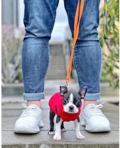 Gooby 2025 dog apparel