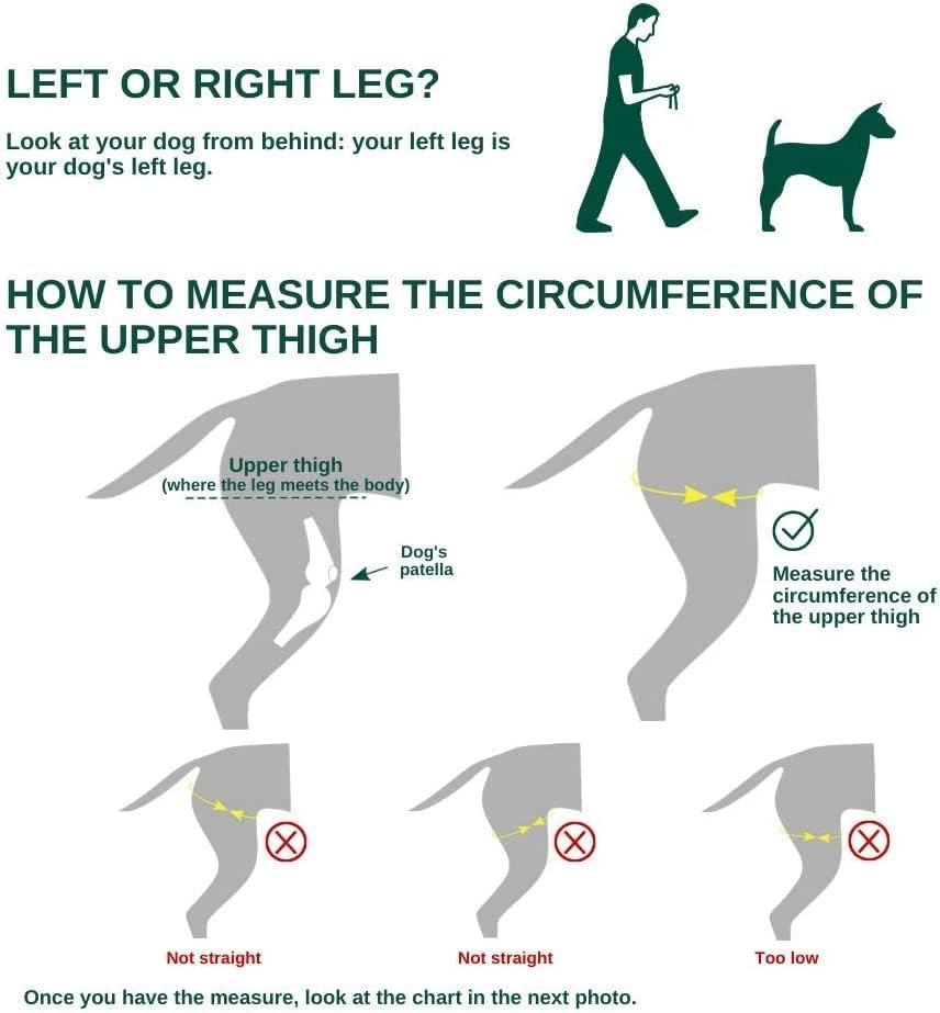 Ortocanis Knee Brace for Dogs Large Right Leg Support for Cruciate