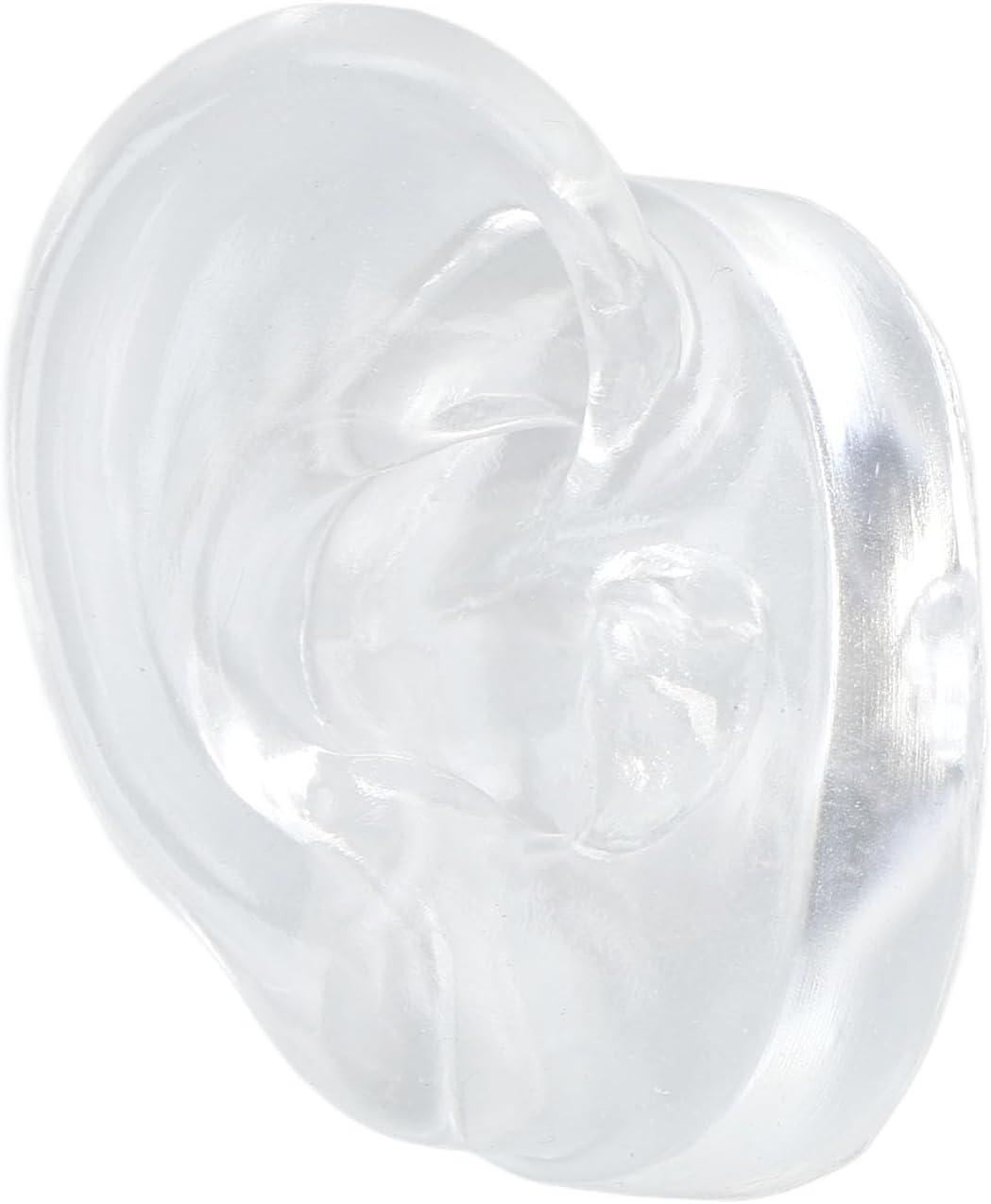 Buy Waterproof Silicone Ear Model | Clear Teaching Aid for Anatomy ...