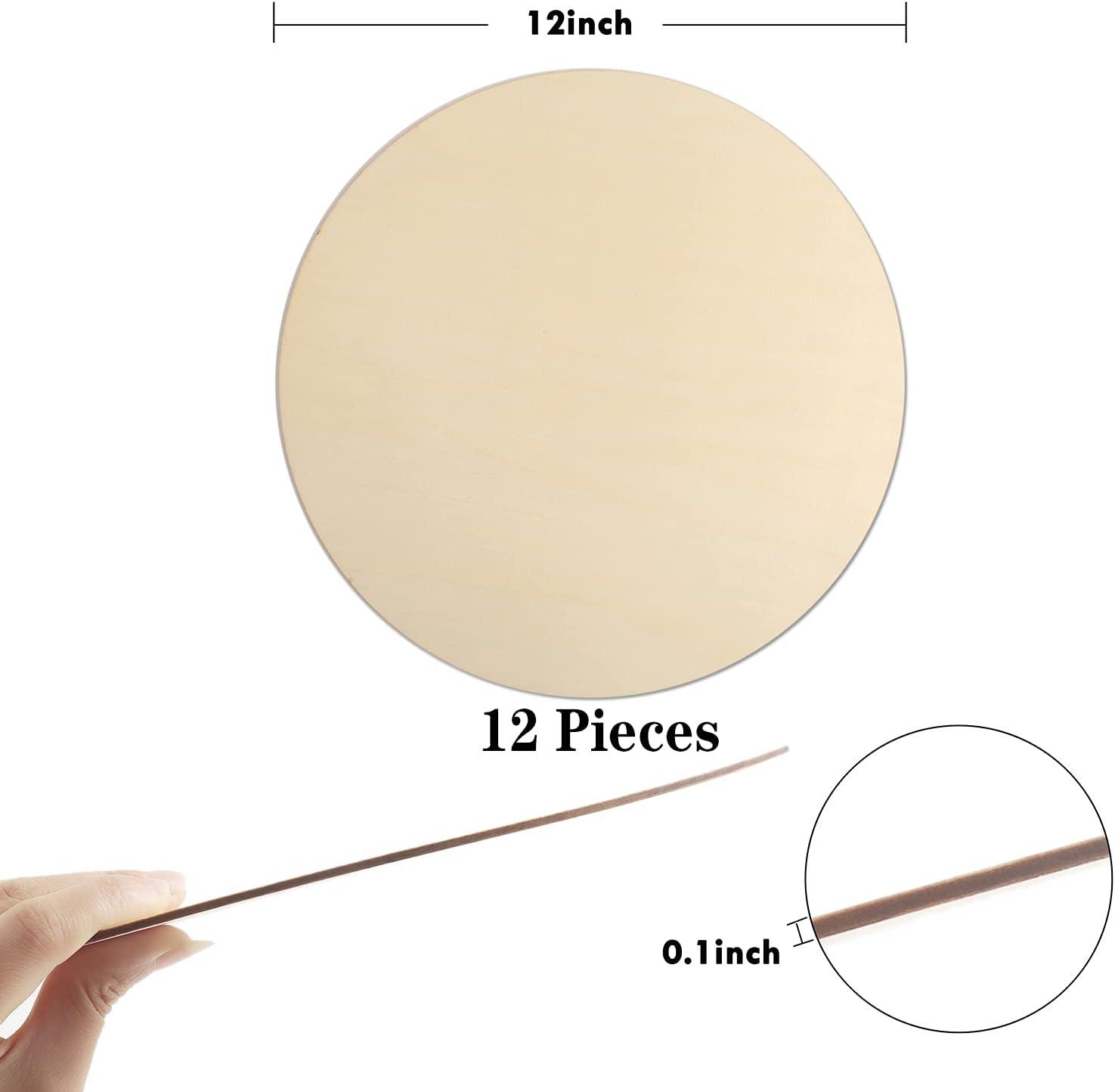 Wood Circles for Crafts,12 Pack 12 Inch Unfinished Wood Blank