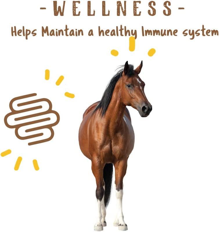 Manna Pro Simply Flax for Horses Omega3 Fatty Acids from Flaxseed 8 Pounds