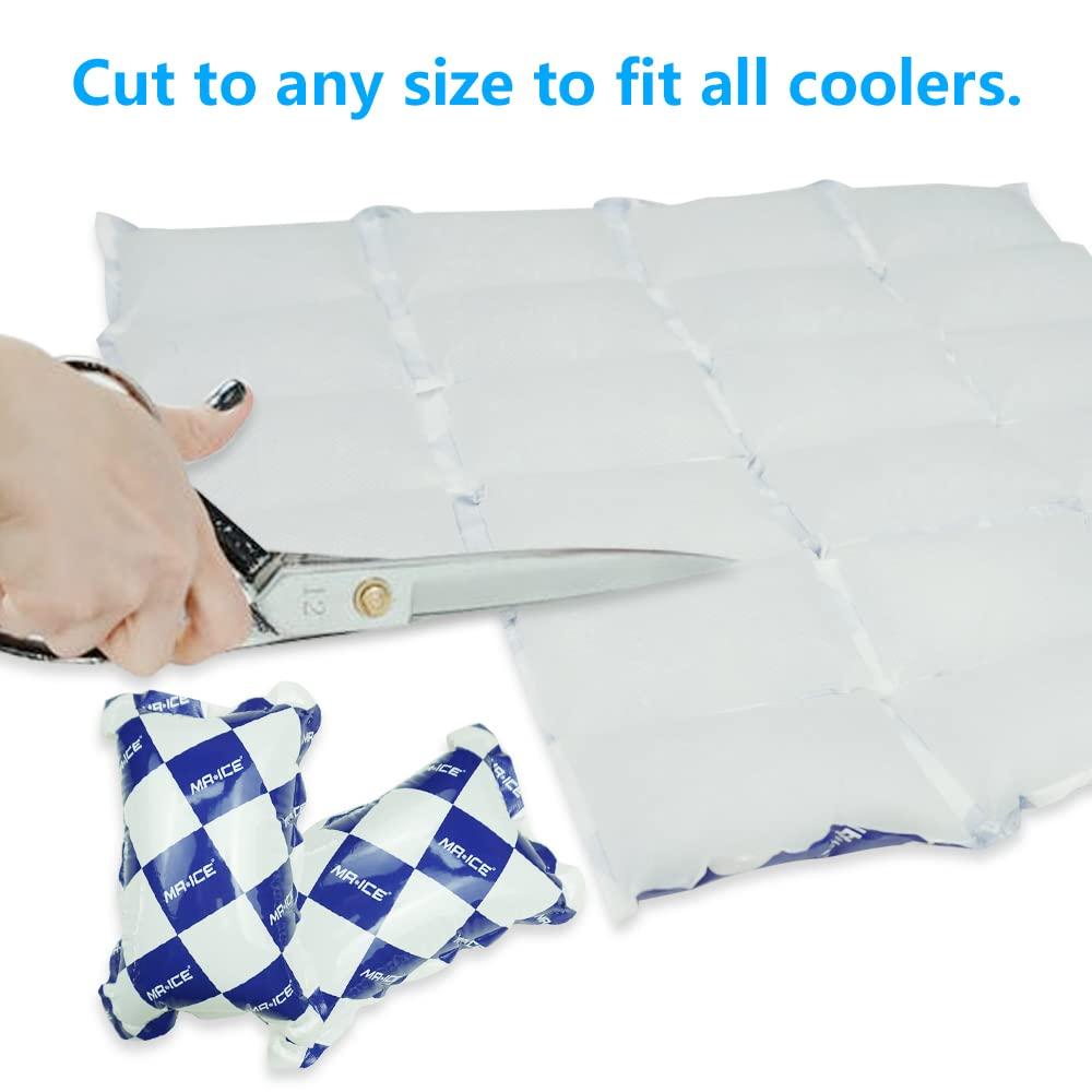 Dry Ice Packs for Shipping Frozen Food Flexible Ice Blanket for