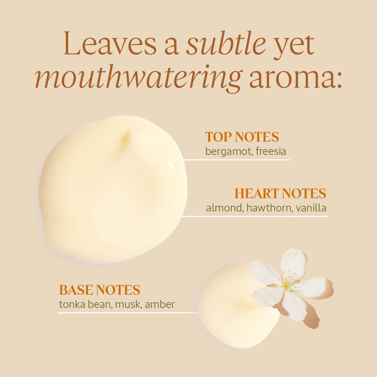 L'Occitane Almond Oil Conditioner 8.1 Fl Oz All Hair Types