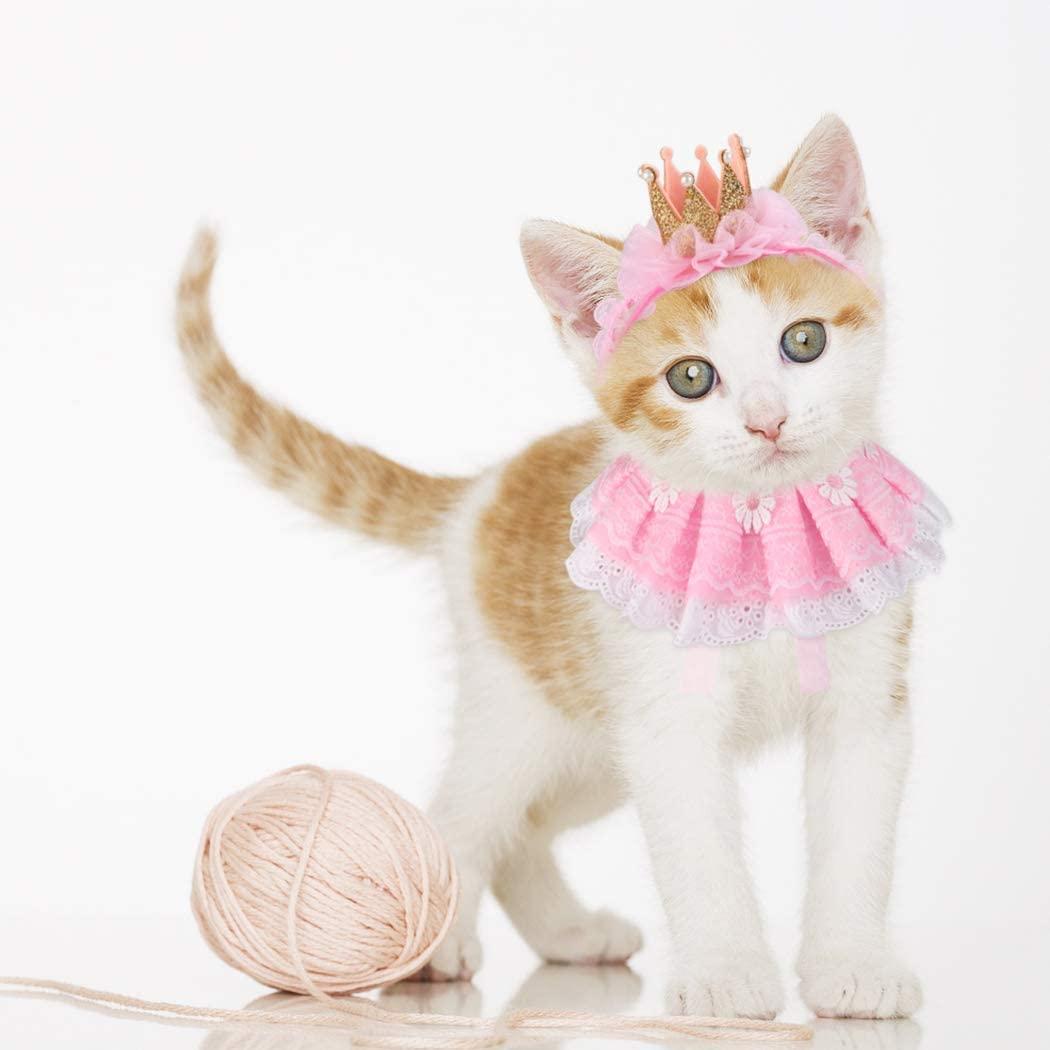 Legendog Princess Cat Bandana & Crown Costume Set for Birthday Parties -  Pink | Buy Now with Express International Delivery | GoSupps.com