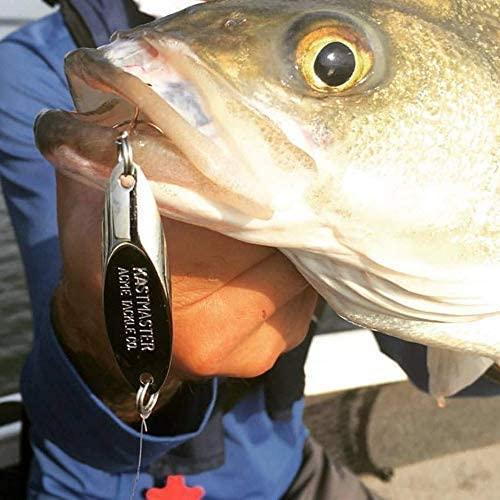 Acme Kastmaster Fishing Lure 1/4 oz. Gold - Balanced & Aerodynamic for Long  Casts, Wild Action & No Line Twist | Buy Now with Express International  Delivery | GoSupps.com
