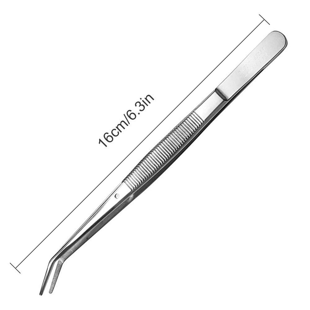 Stainless Steel Tweezers, with Curved Serrated Tip Multipurpose