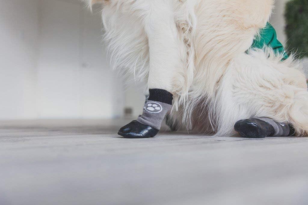 Grippers Non Slip Dog Socks, Traction Control for Indoor Wear, Dog Paw  Protection