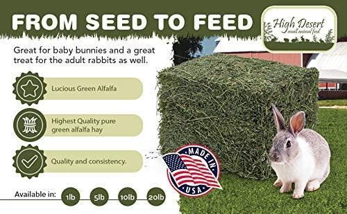 Dried Natural Alfalfa Hay for Rabbits, Guinea Pigs, Chinchillas - Main Image