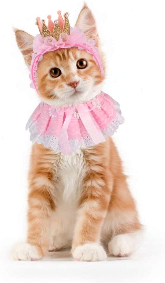 open lace back dress Pink Snow White Harness Dress For Cat (leash included)  PurryPurryInc