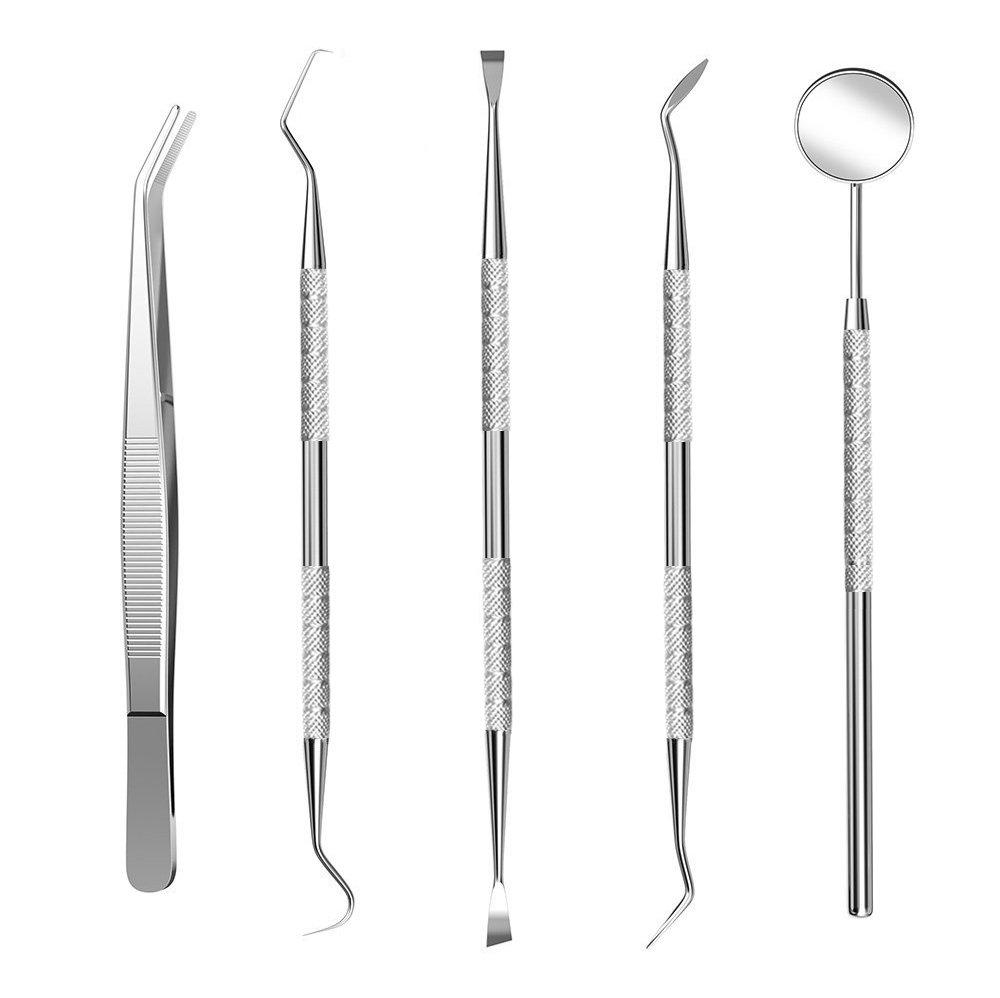 Dental Tools to Remove Plaque and Tarter Dental Picks Professional