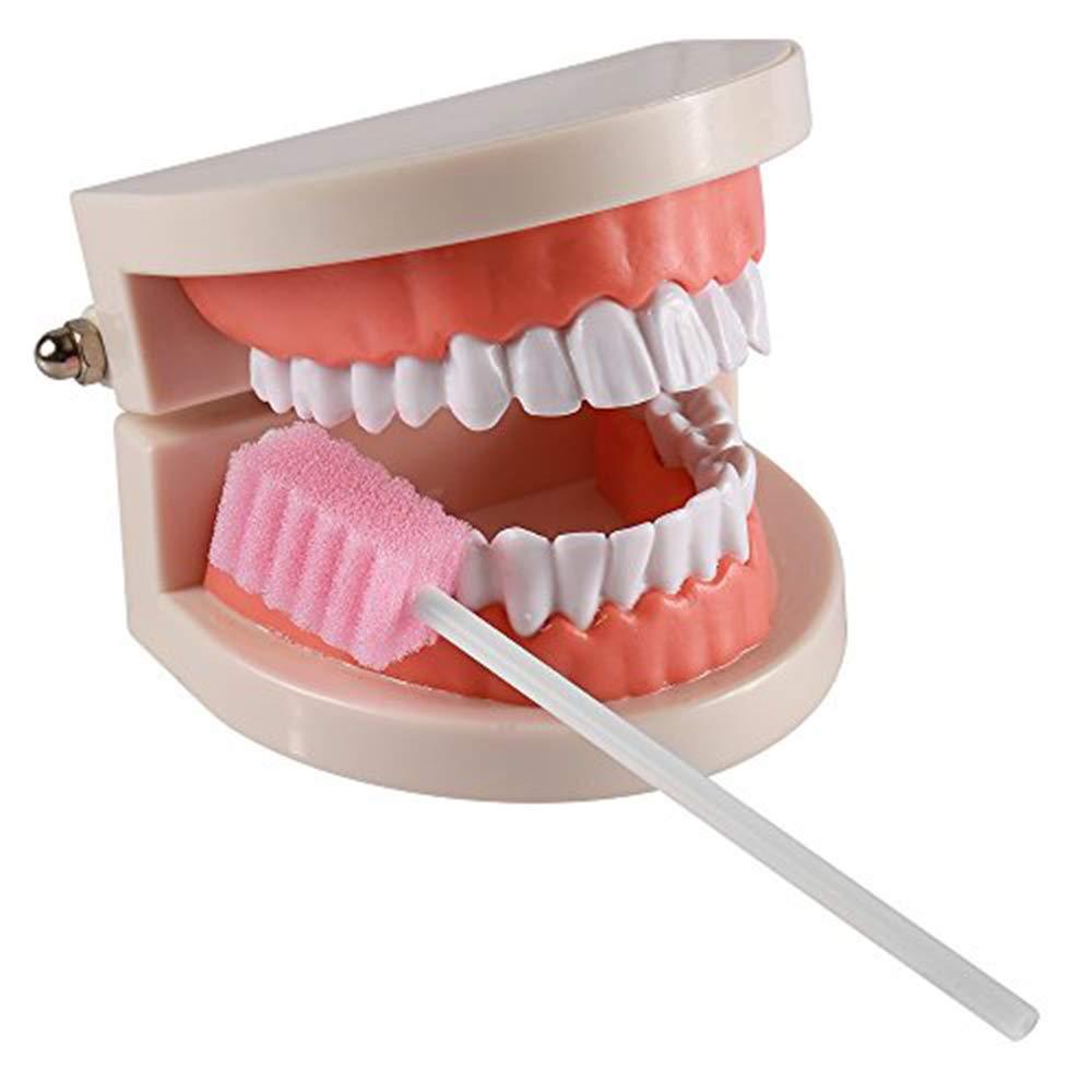 Disposable Oral Swabs, Sterile Dental Sponge Swabsticks Unflavored for