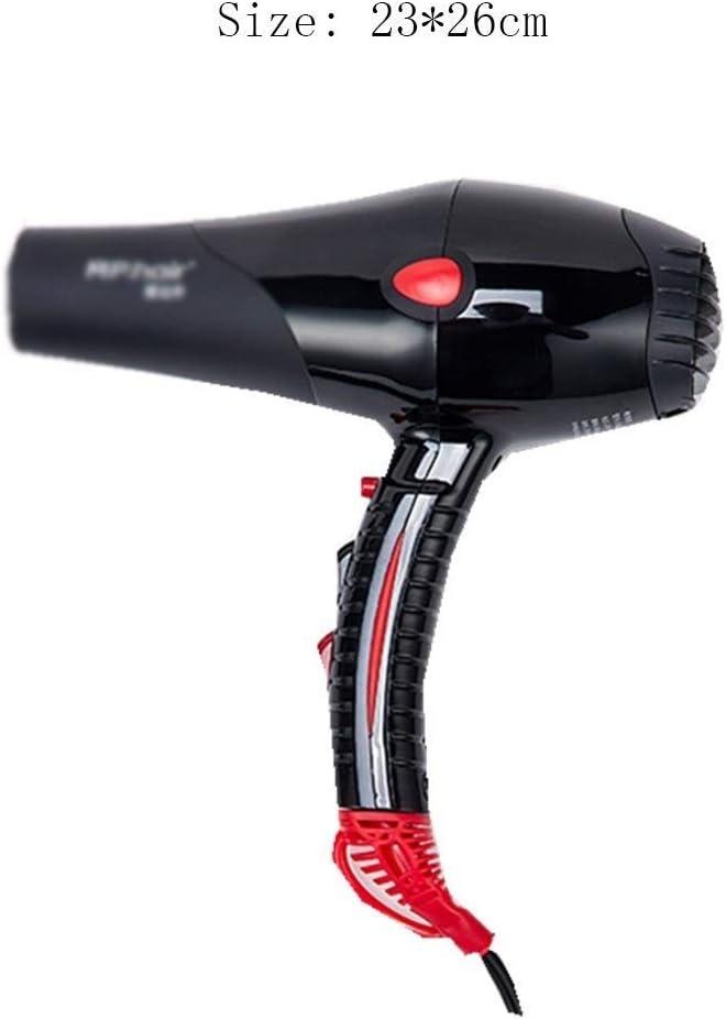 ADITAM Professional Ionic Salon Hair Dryer Powerful Watt Ceramic