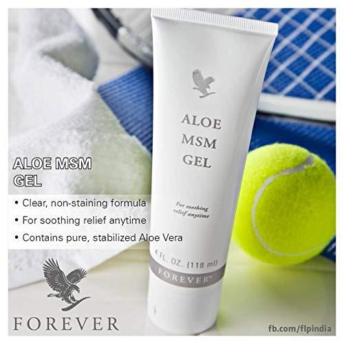 Buy Forever Living Aloe MSM Gel (Pack of 2 - 118 ml each) | Soothing &  Healing Skincare | International Shipping Available | Buy Now with Express  International Delivery | GoSupps.com