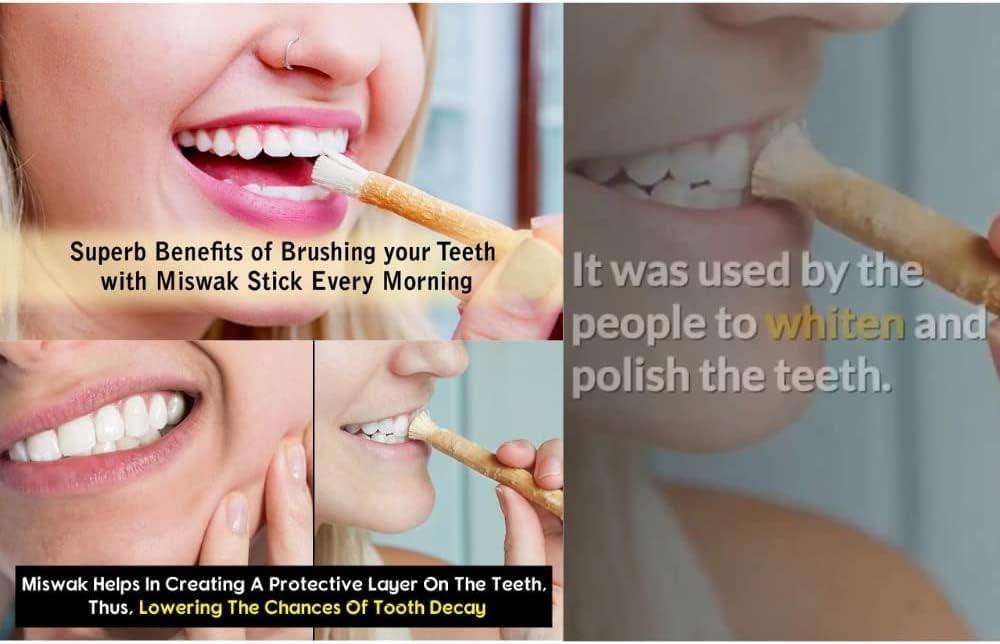Miswak/Siwak Stick - Dental care