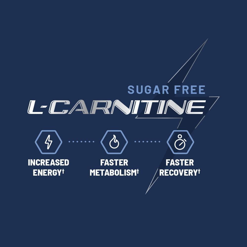 Sugar Free L Carnitine 500mg Gummy Natural Pre Workout LCarnitine