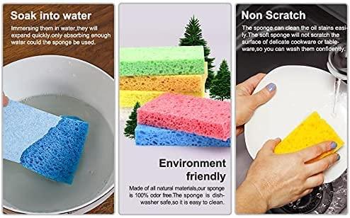 What Are Cellulose Sponges, and When Should You Use Them?