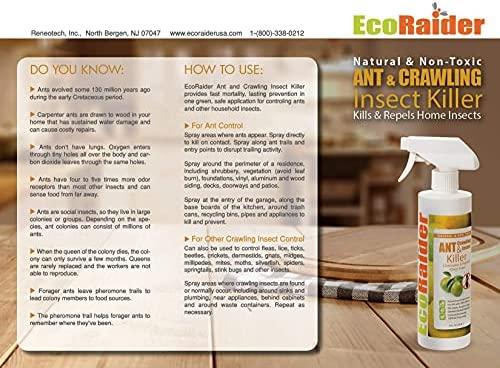 Ant & Crawling Insect Killer - Thumbnail 2