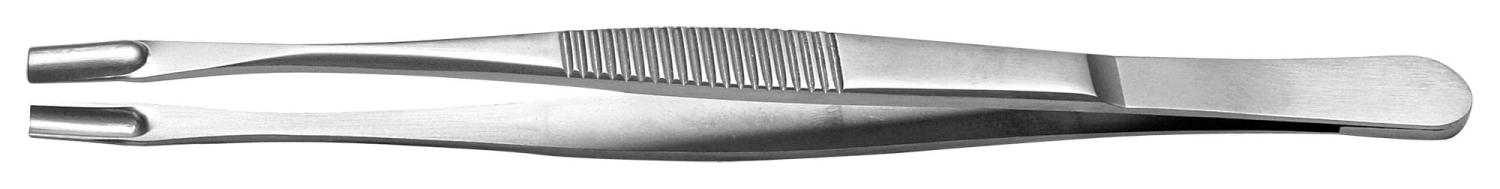 Dental Examination Basic Instrument Kit | Stainless Steel College Teeth
