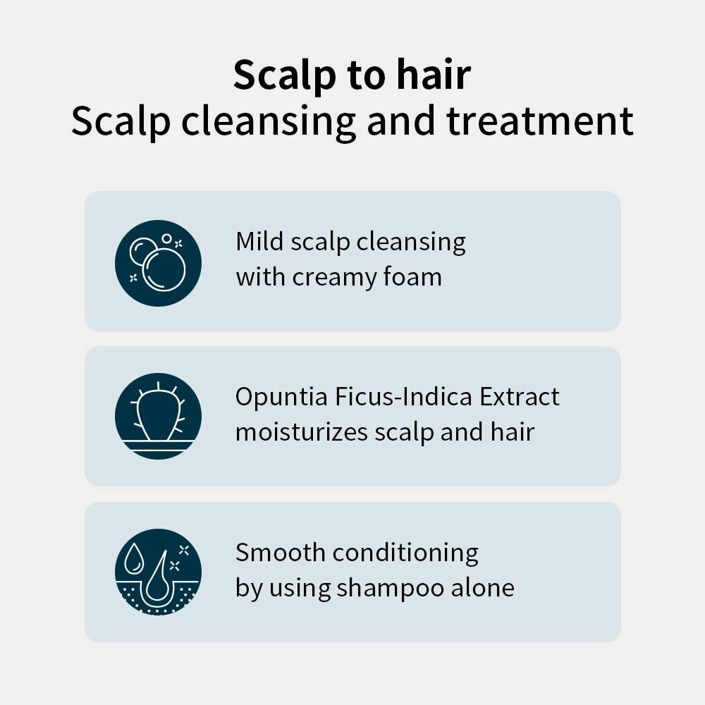 Buy Whamisa Fresh Cactus Shampoo | Nourishing & Organic Hair Care -  International Shipping Available