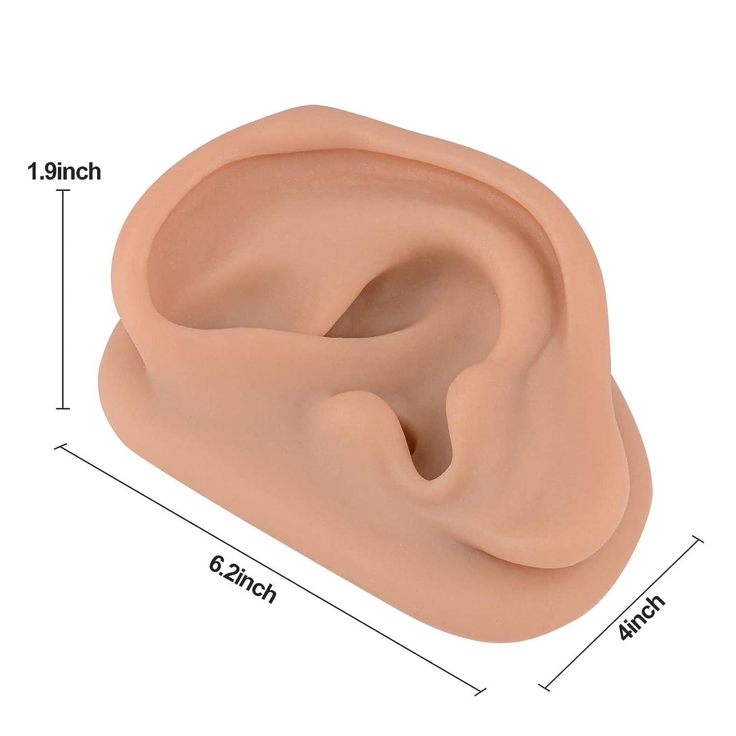 Acupuncture Ear Model Left Artificial Ear Replica for Auricular Therapy