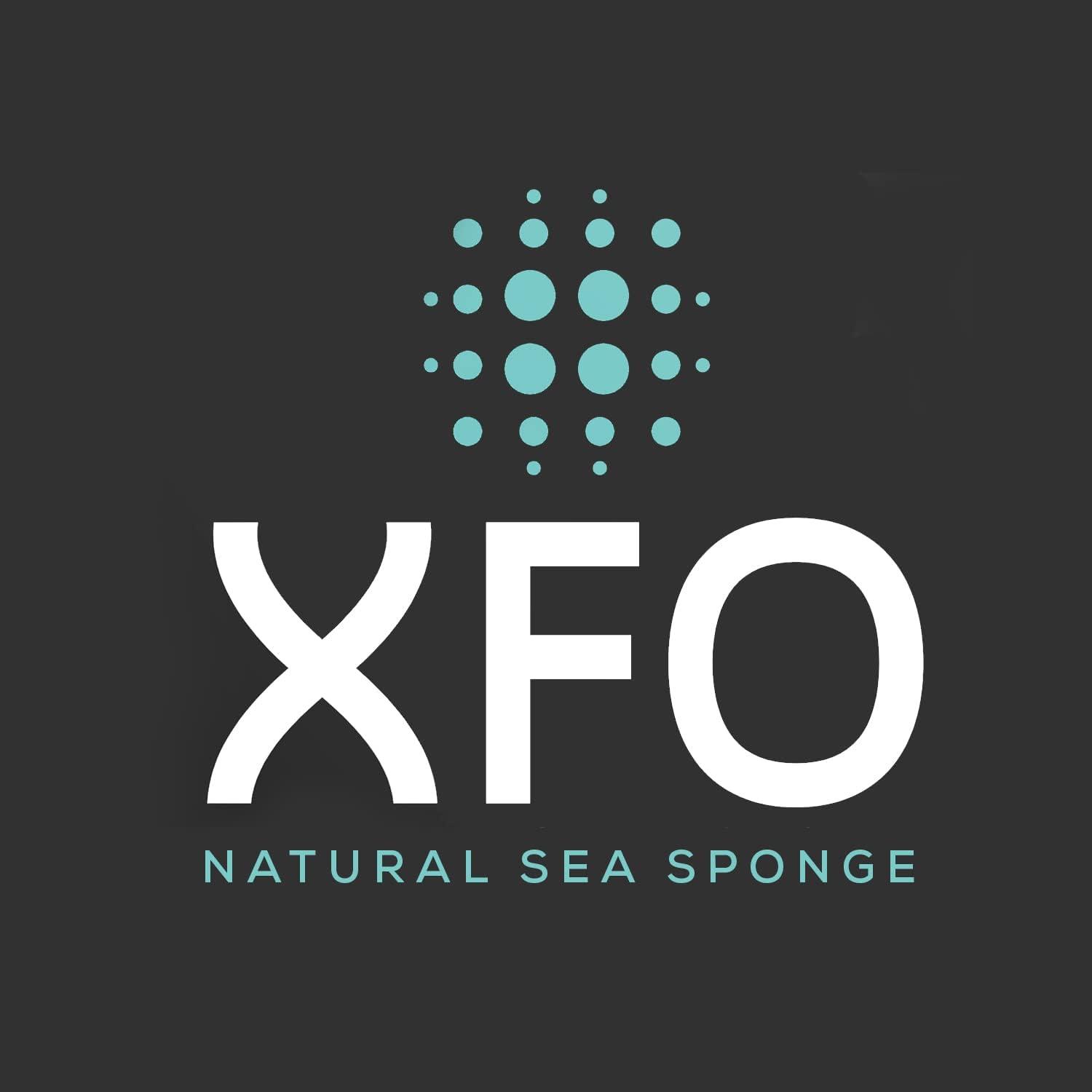  XFO Sea Sponge, Natural Sea Wool Sponge (Large 6in) All Natural  Loofah Alternative - Natural Sponges for Bathing, Showering and  Exfoliating, All Natural Sponge Loofa - Grown Off The Coast of