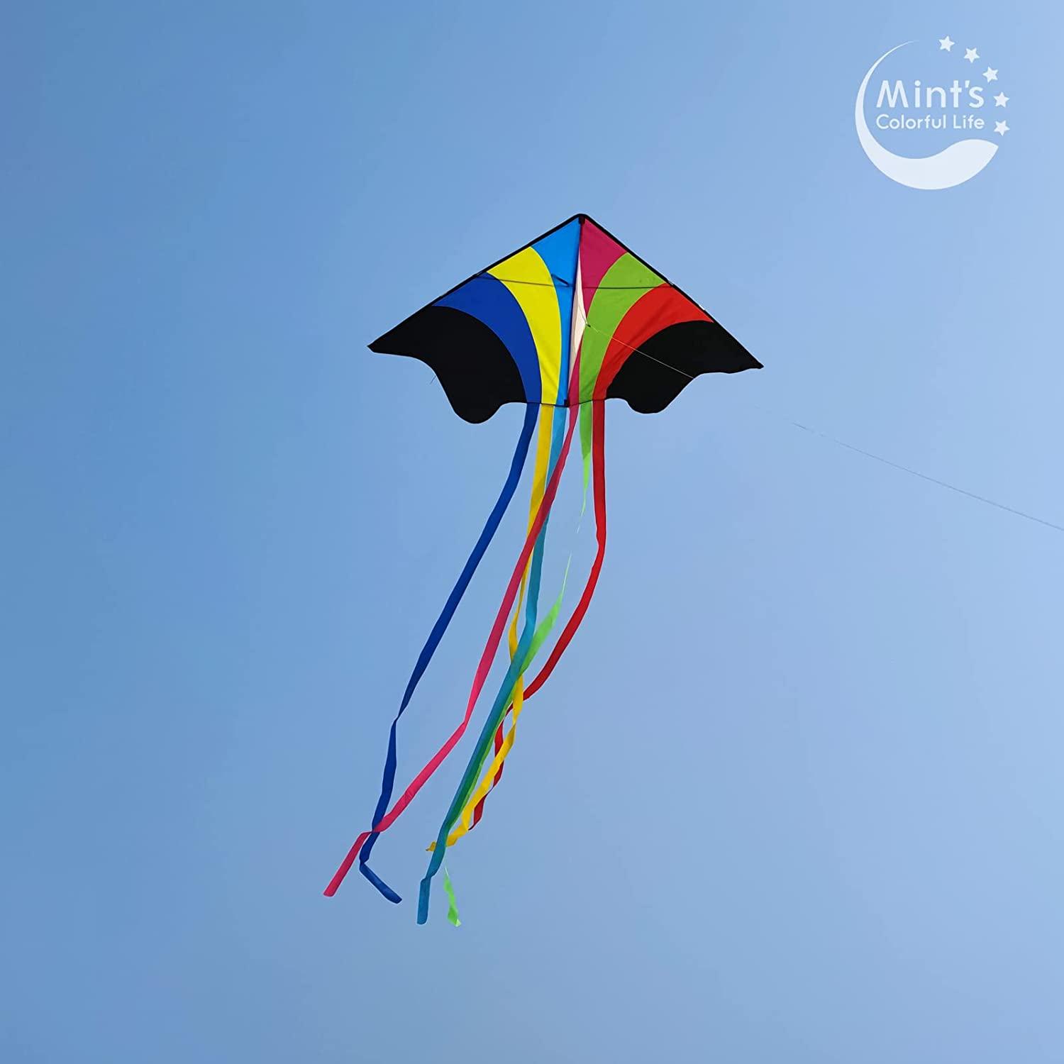 Mint's Colorful Life Delta Kite for Kids & Adults, Extremely Easy to Fly Kite (Flying Rainbow)