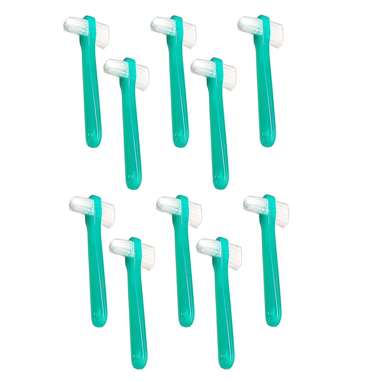 Vakly Denture Brush Pack of 10 Firm Bristled Brushes for Cleaning