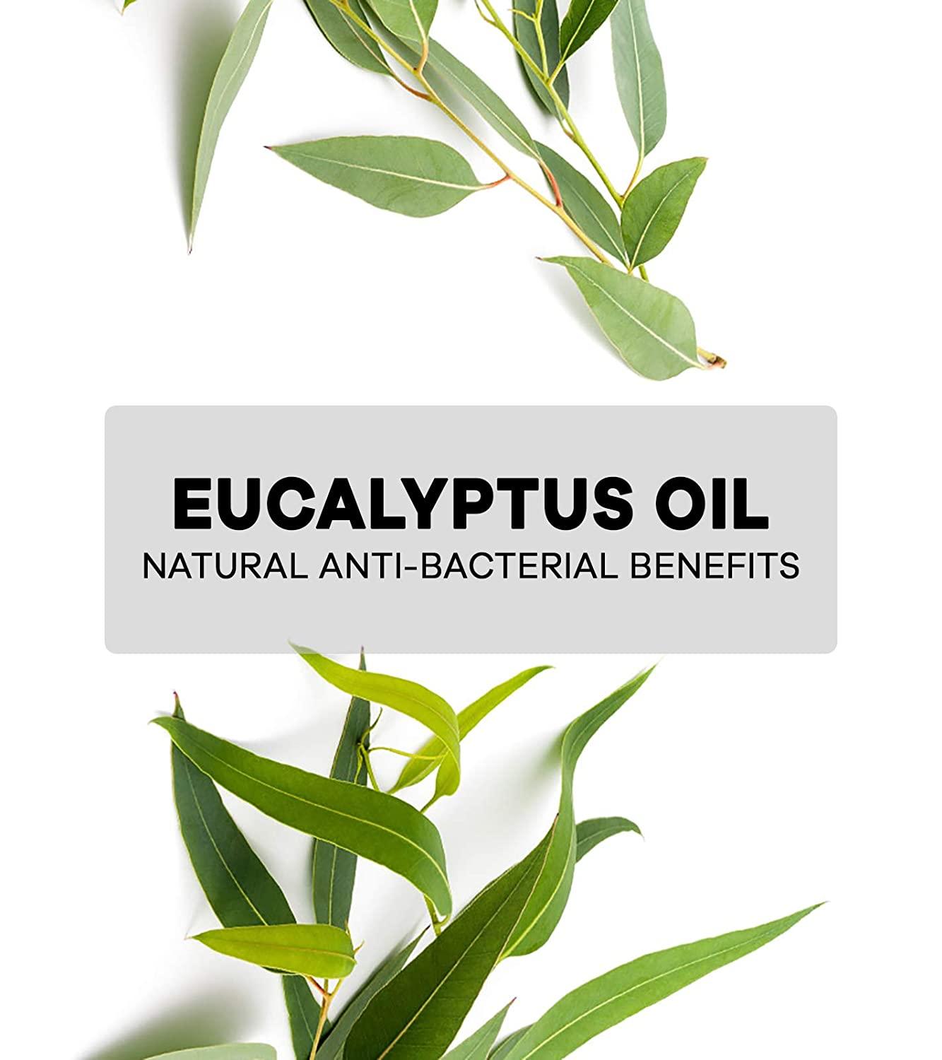 Australian Botanical Soap, Eucalyptus with Lemon, Lime and Petitgrain