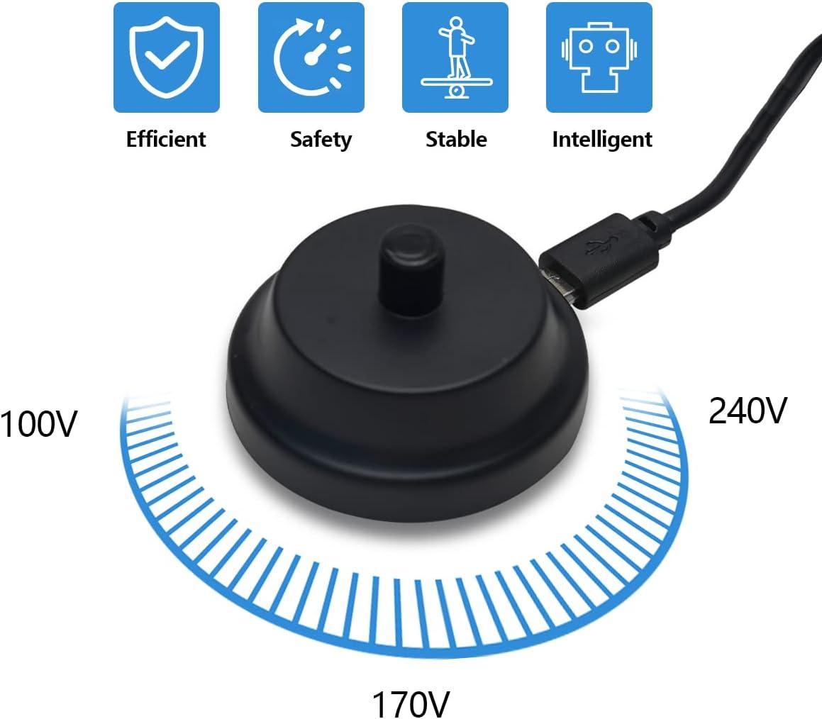 Replacement Charger Base Compatible with AquaSonic Black Series Vibe