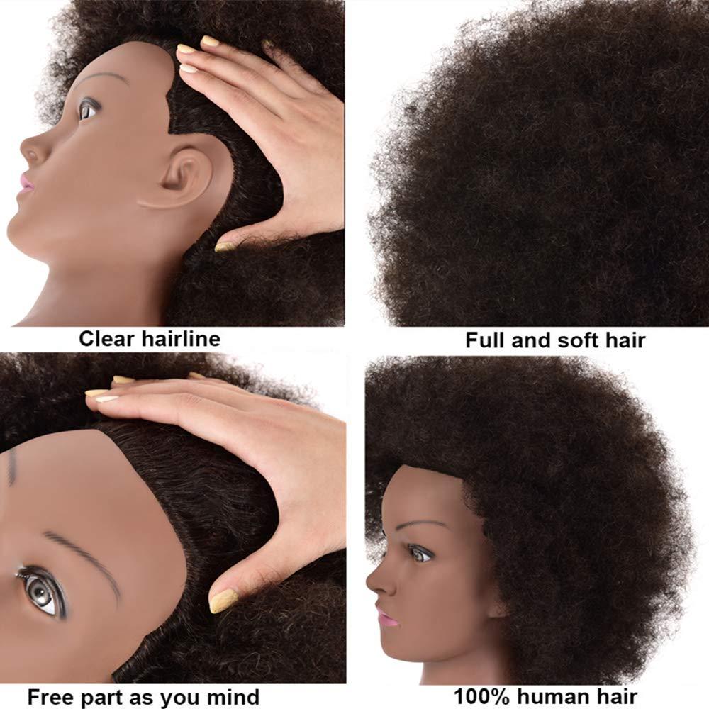 Afro Hair Manikin Head 100% Human Hair African American Manikin Head Curly  Hair Mannequin Head Cosmetology Doll Head Hairdresser Training Head for  Practice Styling Dye Cutting with Free Clamp Stand Natural Color-B