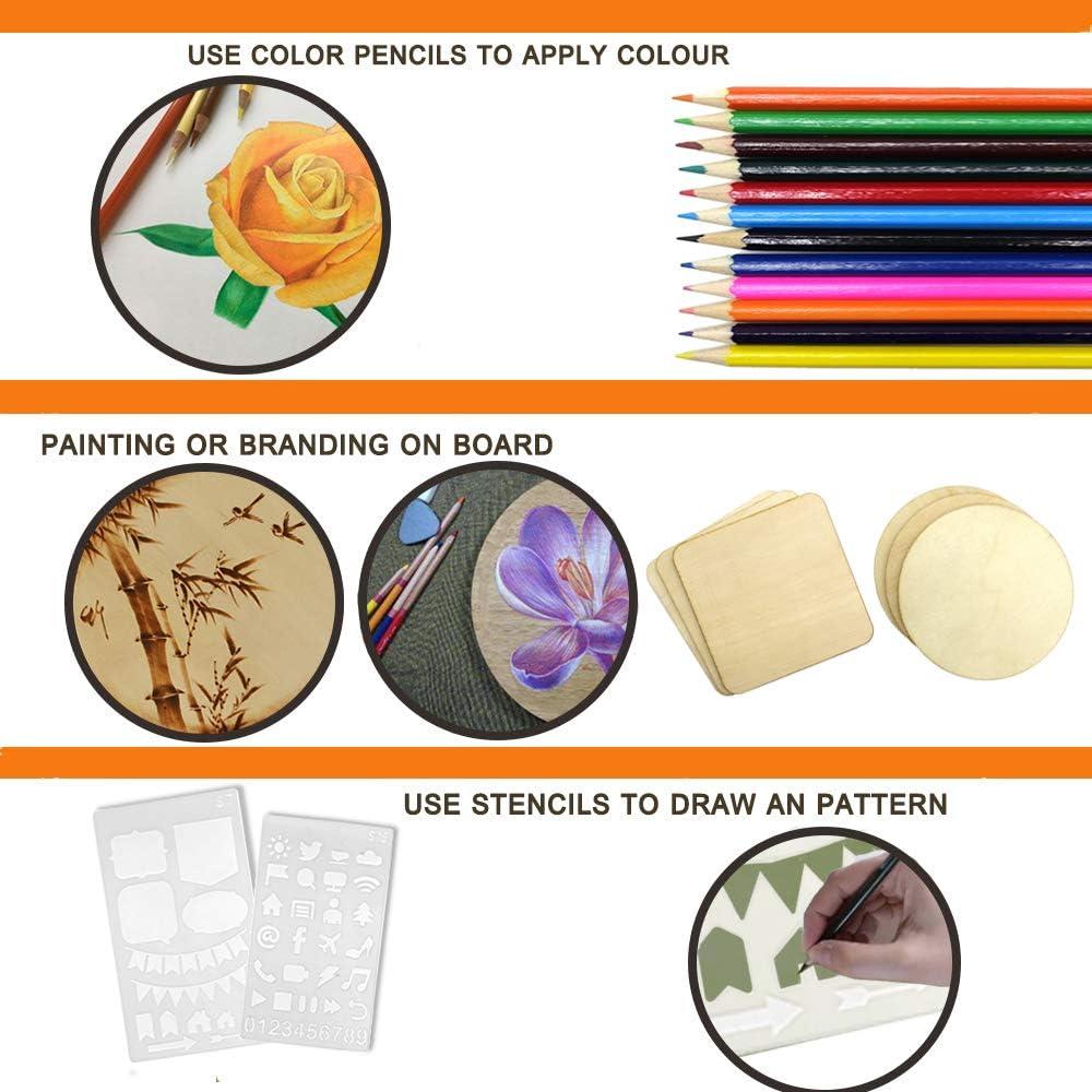 PETUOL Wood Burning Kit for Beginners 73pcs Professional Wood Burning Pen and Accessories Wooden Kits Embossing Carving and Wood Burning