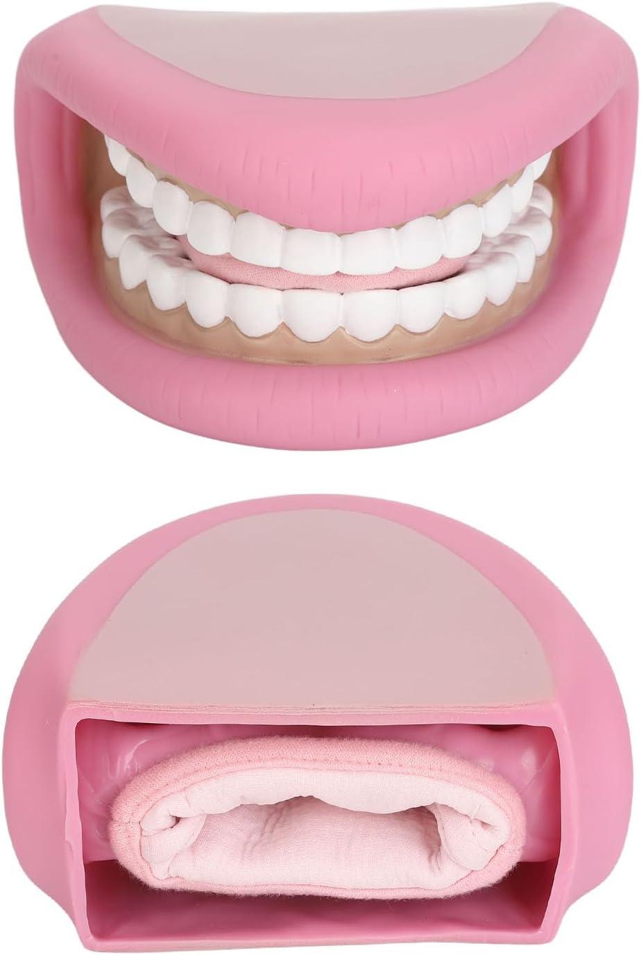 Model Teeth with Tongue - 28 Teeth Children's Tooth Model for Dental ...