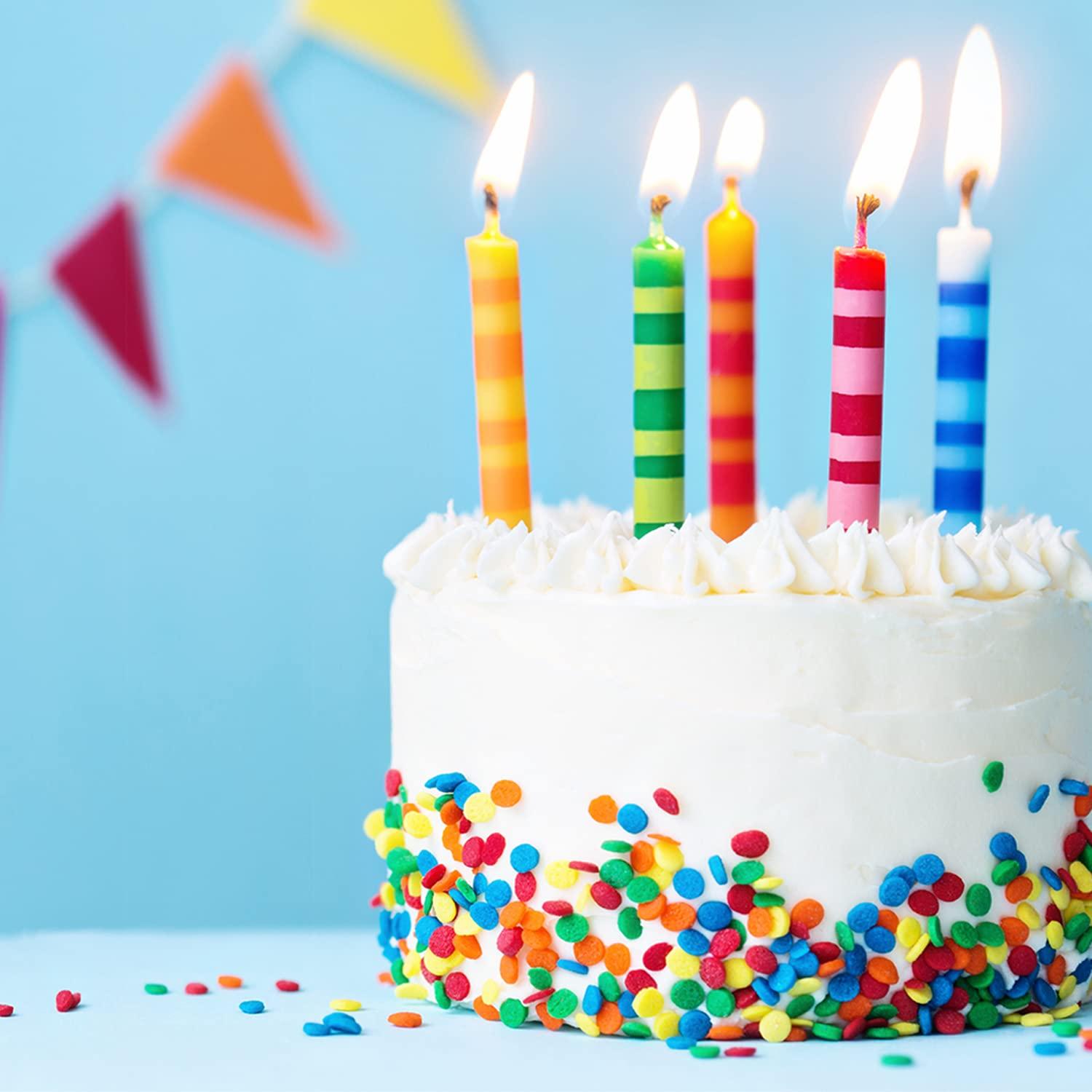 Rainbow Confetti Sprinkles Bulk Primary Colored Sprinkles Edible