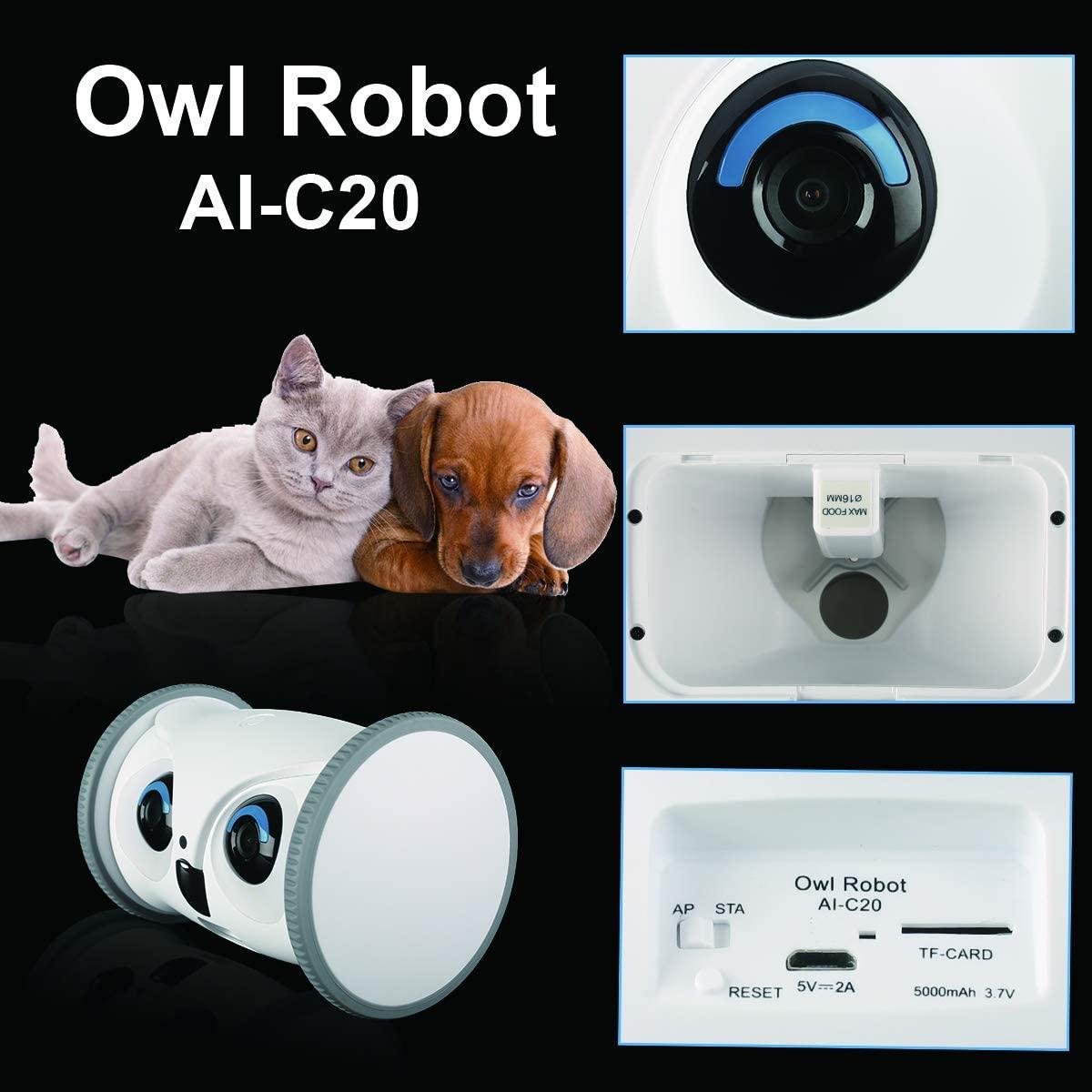 Skymee Owl robot-