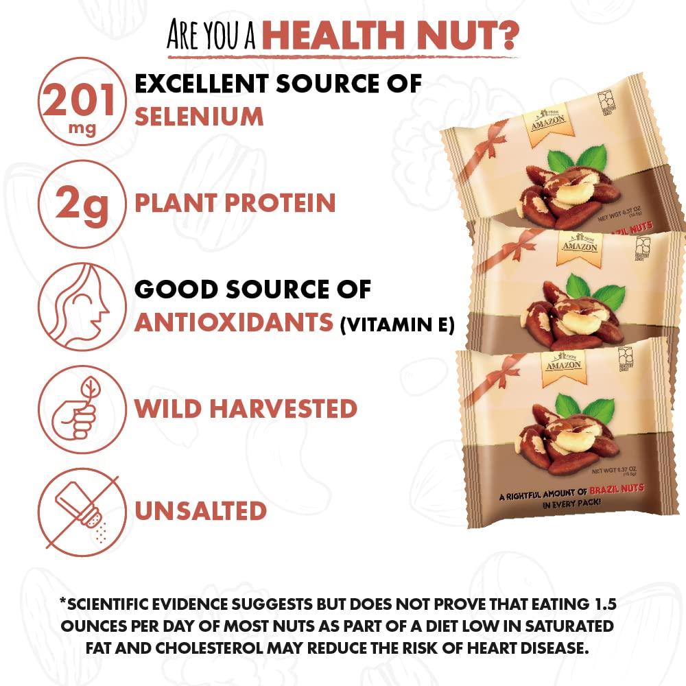 Roastery Coast Daily Nuts Whole Raw Brazil Nuts Selenium Nut