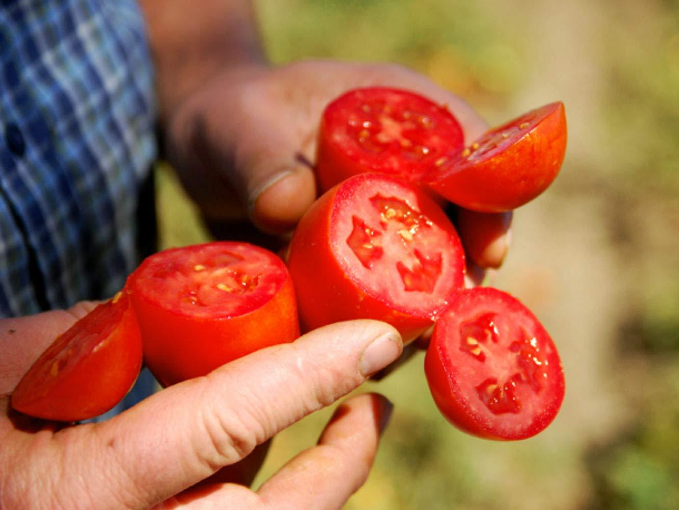 Bianco DiNapoli, Organic Crushed Tomatoes, 28 oz can, 2 pack