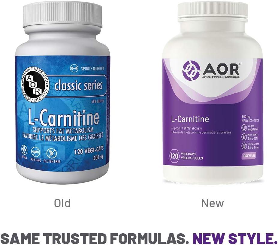 orthomolecular l carnitine AOR L-Carnitine Amino Acid Supplements | Buy Now with Express International  Delivery