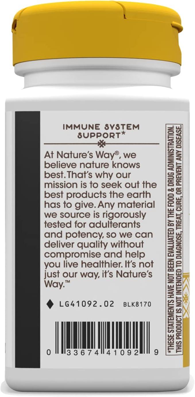 Nature's Way Zinc Lozenges Wild Berry Flavored, 60 Lozenges