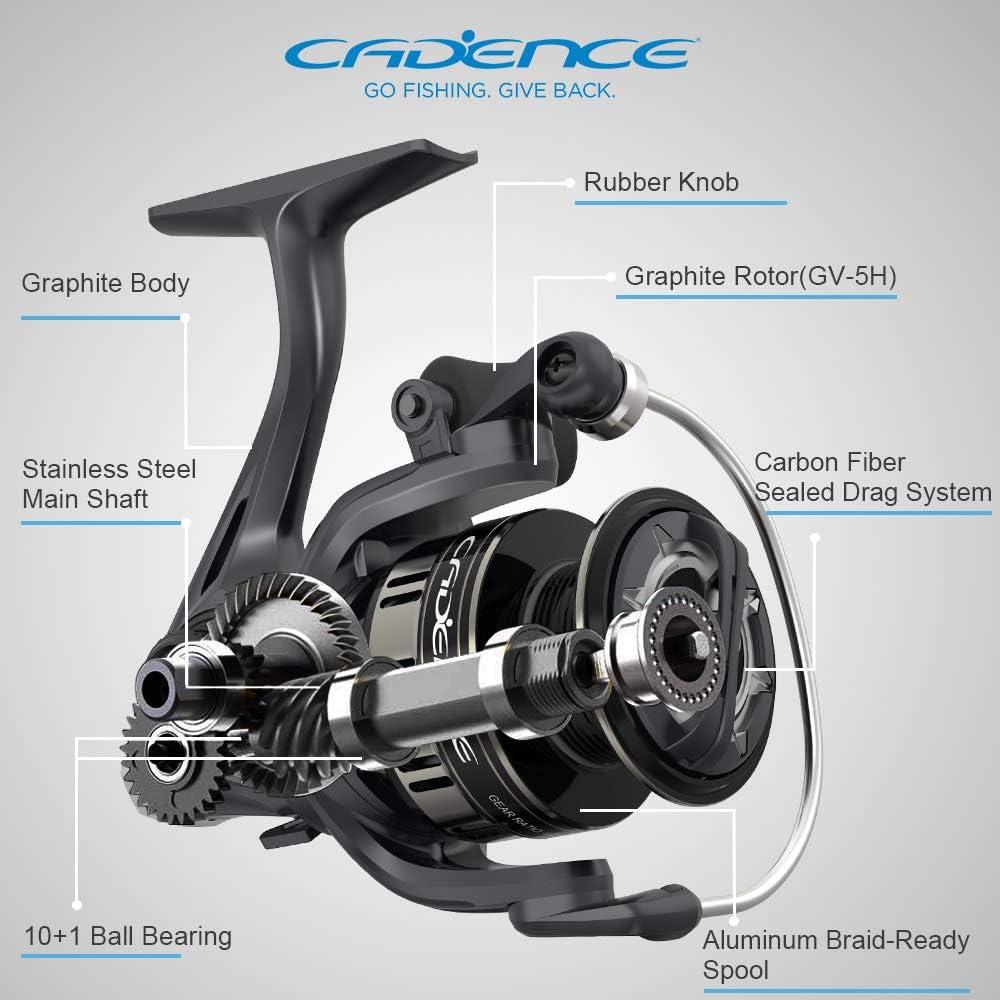 Cadence Ideal Spinning Reel, Super Smooth Fishing Reels with 10 + 1 BB for  Freshwater, Durable and Powerful Reel with 30LBs Max Drag & 6.2:1, Great  Value& Tuned Performance 1000