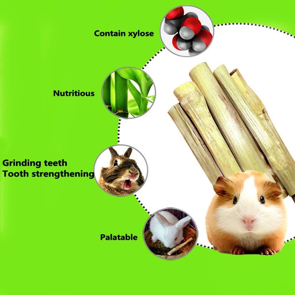Can guinea discount pigs eat bamboo
