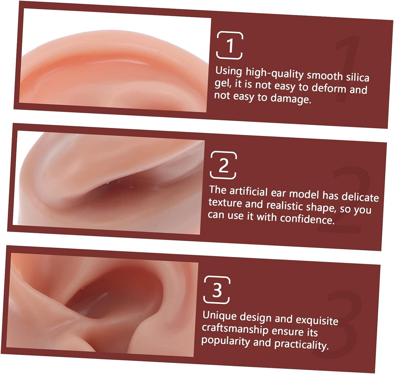 FRCOLOR 1pc Human Ear Model Maniquine Silicone Body Parts Rubber Human