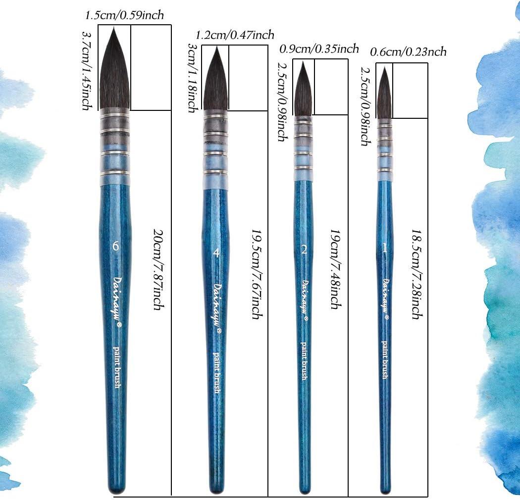 Dainayw Professional Mop Watercolor Brushes Squirrel Hair & Horse Hair  Synthetic Blend Round Paint Brush Set for Art Painting Gouache 4 Size Blue  Handle